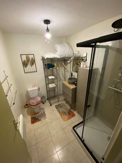Paisible Appartement Ruffec (Charente)